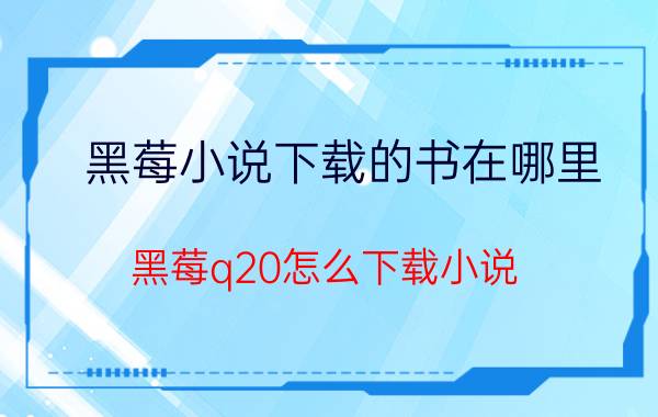 黑莓小说下载的书在哪里 黑莓q20怎么下载小说？